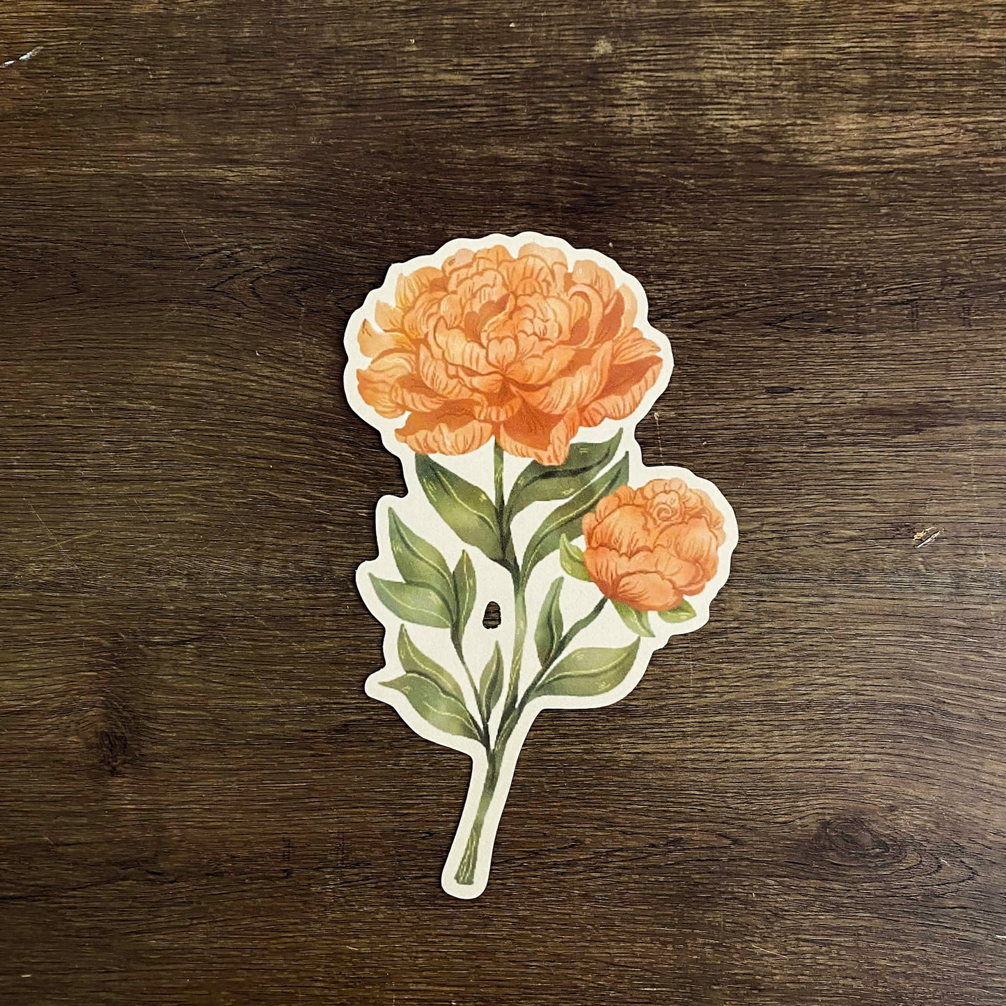 Spring Florals Diecut Art Prints, Aesthetic Art Prints, Spring Art Prints, Die-cuts