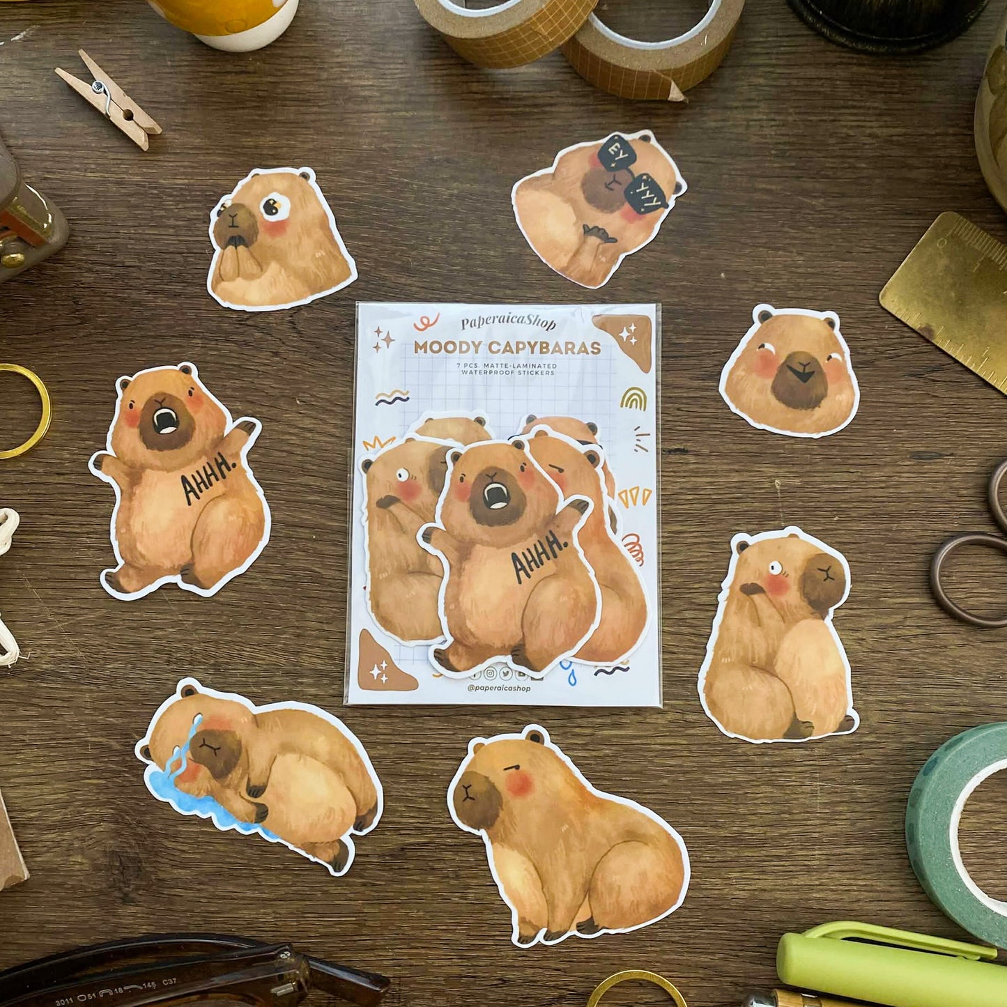 Moody Capybaras Sticker Pack SP021