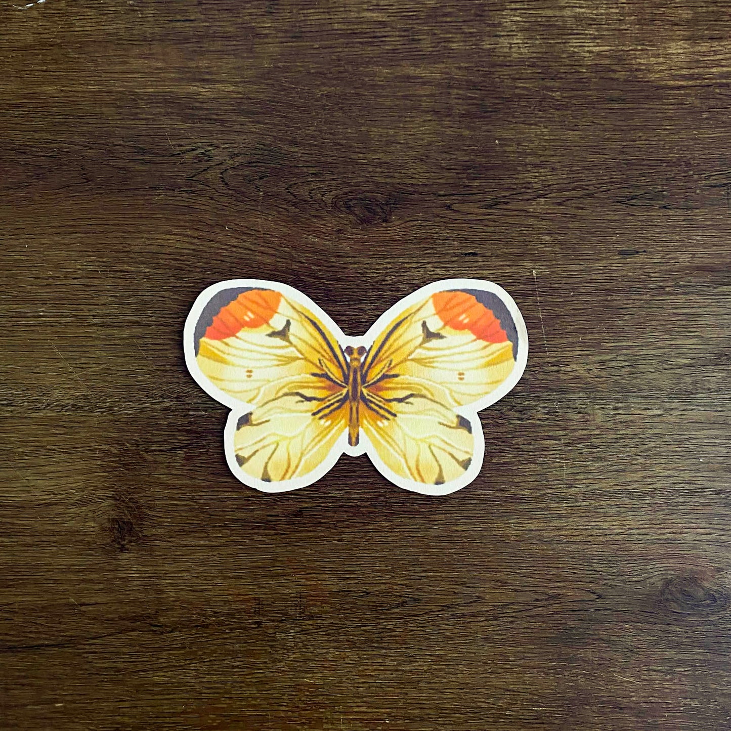 Butterflies Diecut Art Prints, Aesthetic Art Prints, Spring Art Prints, Die-cuts